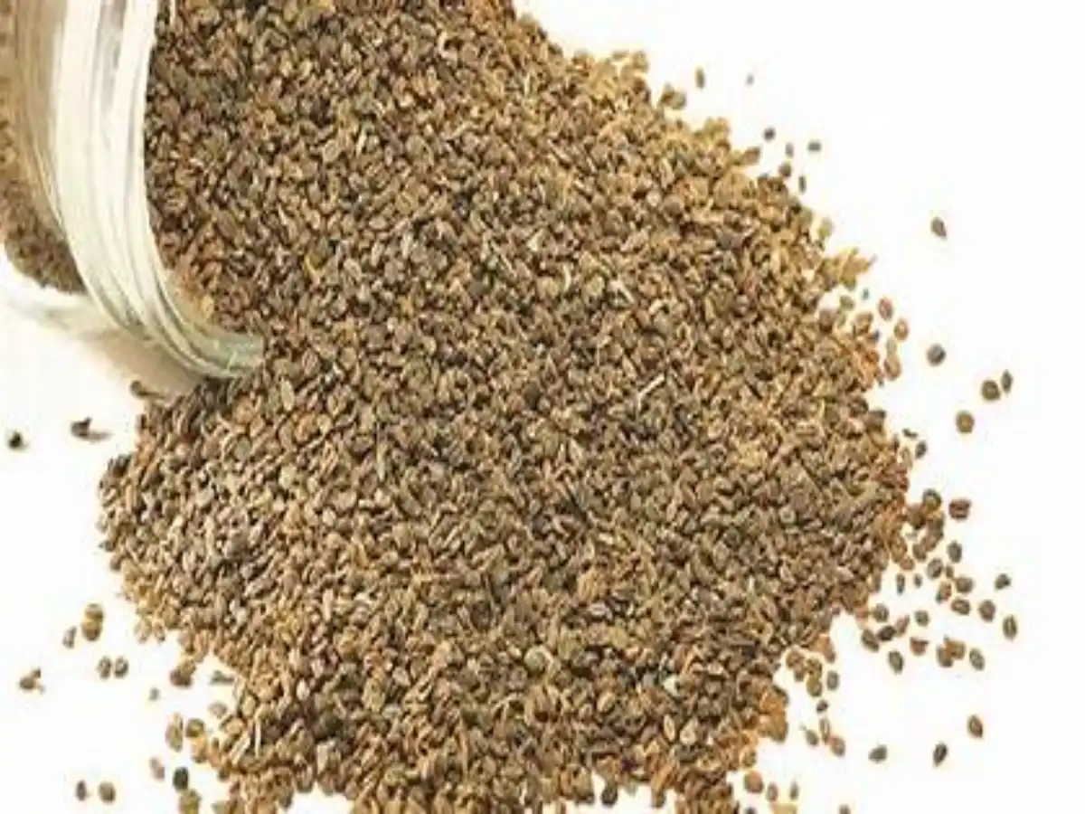 Ajwain Remedies: Nature's Hidden Treasure for Health