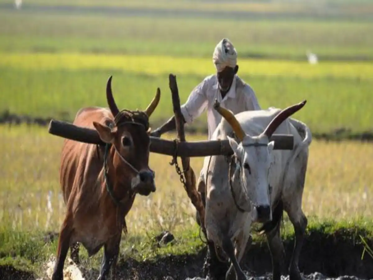 Empowering Bihar Farmers: Interest-Free Agricultural Loans Soon