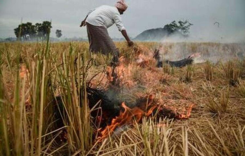 Haryana Pollution Solution: Centre's Biomass Briquette Strategy