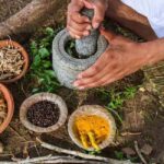 Ayurveda Advancements: India-Thailand Academic Pact Unveiled