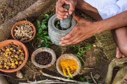 Ayurveda Advancements: India-Thailand Academic Pact Unveiled