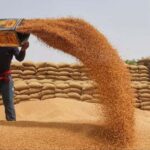 Navigating Growth: Govt Aims for 30-32 Million Tonnes Wheat Harvest