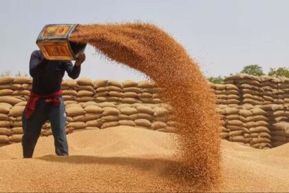 Navigating Growth: Govt Aims for 30-32 Million Tonnes Wheat Harvest