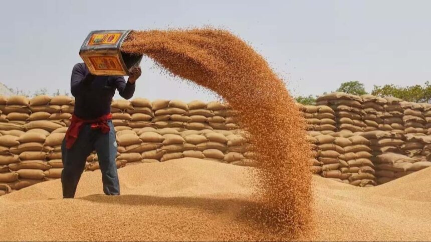 Navigating Growth: Govt Aims for 30-32 Million Tonnes Wheat Harvest