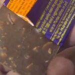 Cadbury's Shock: Telangana Report Reveals Unwanted Guests in Chocolates