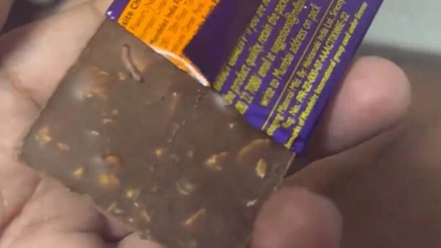 Cadbury's Shock: Telangana Report Reveals Unwanted Guests in Chocolates