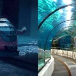 Subaquatic Marvel: Kolkata's Revolutionary Underwater Metro Unveiled