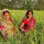 Smart Farming Revolution: Telangana Heroine's 'Nyasta' Reshapes Agriculture