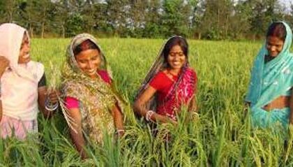 Smart Farming Revolution: Telangana Heroine's 'Nyasta' Reshapes Agriculture