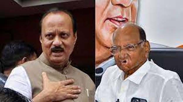 Go Ahead With Your Photo', SC To Ajit Pawar On Using Sharad Pawar's Pictures