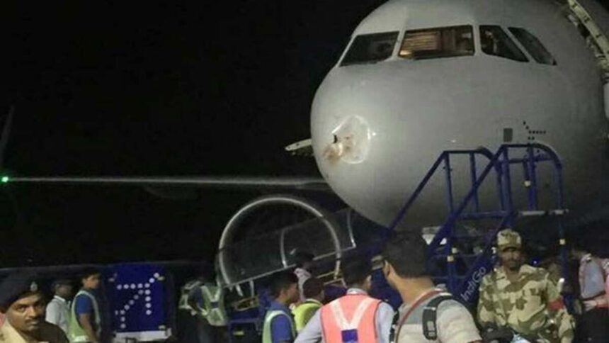 Indigo Flight 6E-7371's Raipur Emergency Landing Drama