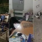 International Students Targeted in Brutal Gujarat University Assault