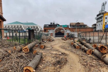 Kashmir College Under Fire: Environmental Outcry Over Tree Removal