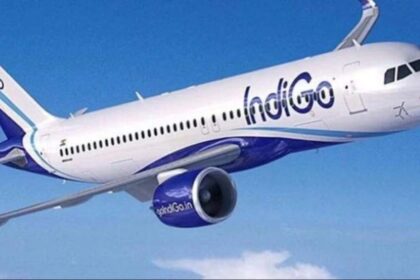 IndiGo's Flight to Success: International Expansion Plans