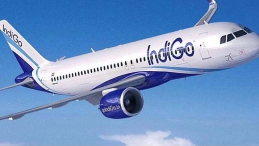 IndiGo's Flight to Success: International Expansion Plans