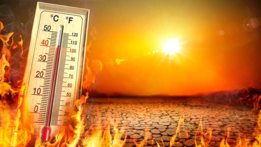 Heatwave Havoc: IMD Warns, ECI Acts