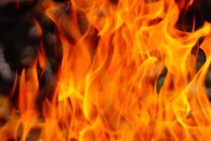 Family Tragedy: 4 Perish in Gujarat Blaze