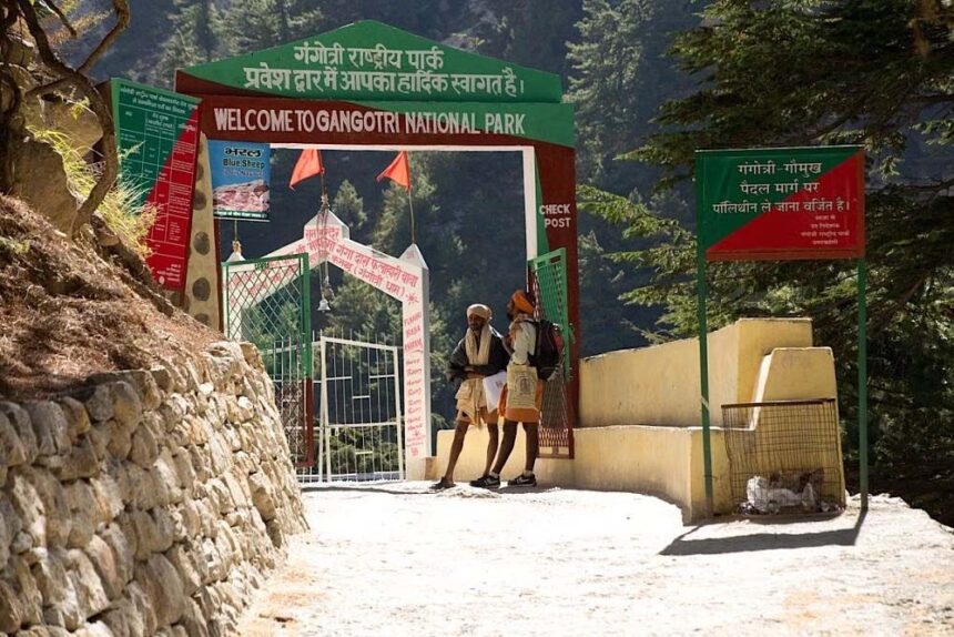 Himalayan Adventure: Gangotri Park Welcomes Explorers