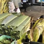 Banana Leaves: Unexpected Star in Bengaluru's Water Crisis