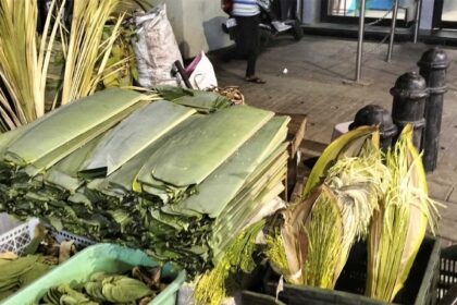 Banana Leaves: Unexpected Star in Bengaluru's Water Crisis