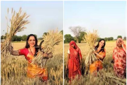 Mathura: BJP's Hema Malini Campaigns in Wheat Fields