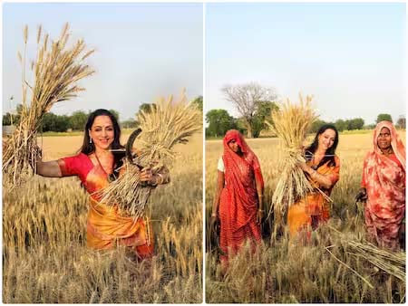 Mathura: BJP's Hema Malini Campaigns in Wheat Fields