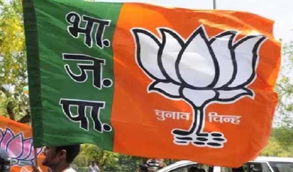 BJP's Choice: Candidates Announced for UP Bypolls