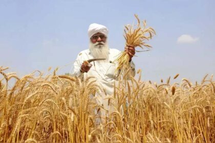 US Senators: Oppose India's Wheat Subsidies