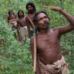 Analysis Unveils Intriguing Genetic Links Between Sri Lankan Veddas and South Indian Tribals