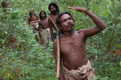 Analysis Unveils Intriguing Genetic Links Between Sri Lankan Veddas and South Indian Tribals