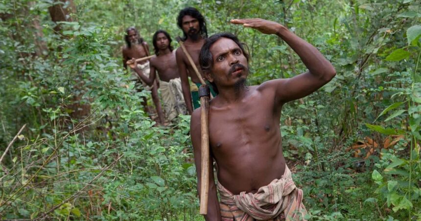 Analysis Unveils Intriguing Genetic Links Between Sri Lankan Veddas and South Indian Tribals