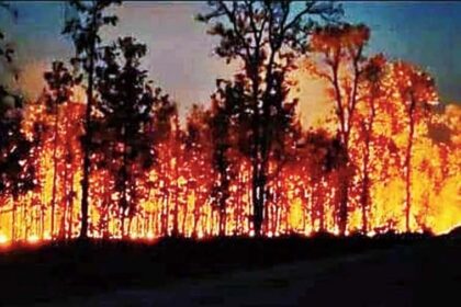 Flames Threaten Odisha Tiger Reserve's Pristine Habitat