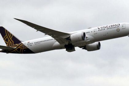 Vistara's CEO Vows Quick Fix Amid Flight Disruptions