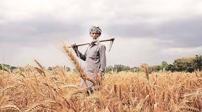 Farming Fury: UP Grower Begs DM, Offers Crop for Poll Pledge