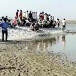 Sarayu River Horror: 2 Kids Among 3 Drowned, 2 Missing