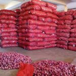 India's Onion Uproar: Export Ban Lift Creates Regional Ripples