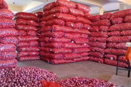 India's Onion Uproar: Export Ban Lift Creates Regional Ripples