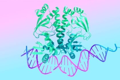 AlphaFold 3: Revolutionizing Molecular Behavior Prediction