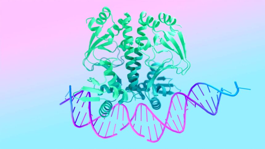 AlphaFold 3: Revolutionizing Molecular Behavior Prediction