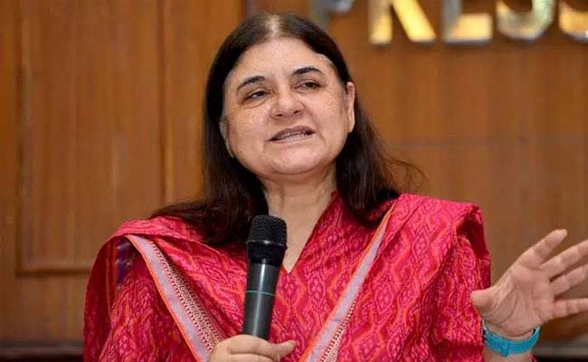 Controversial Claim: Maneka Gandhi Challenges Govt Narrative