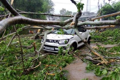 Assam's 9 Districts on Edge: Cyclone Remal Warning