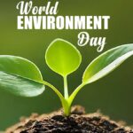 World Environment Day: Dive into 2024's Theme!