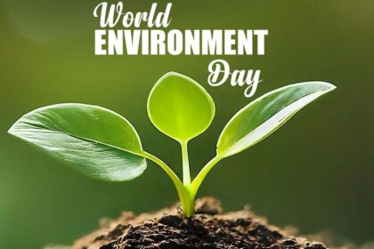 World Environment Day: Dive into 2024's Theme!