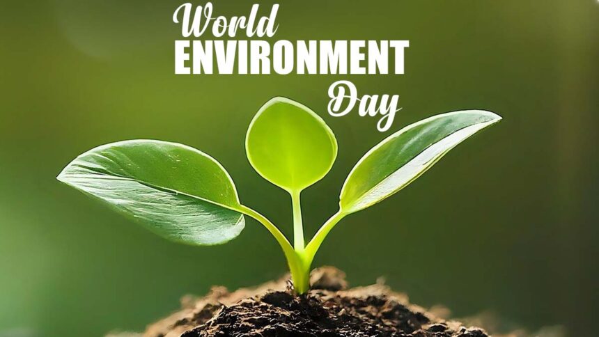 World Environment Day: Dive into 2024's Theme!