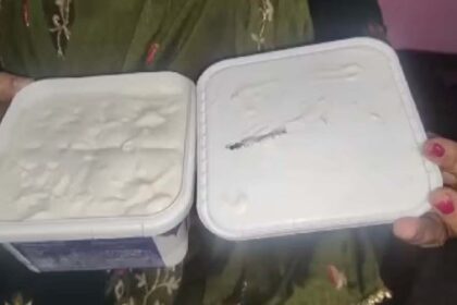 Shocking Find: Insect in Online Ice-Cream