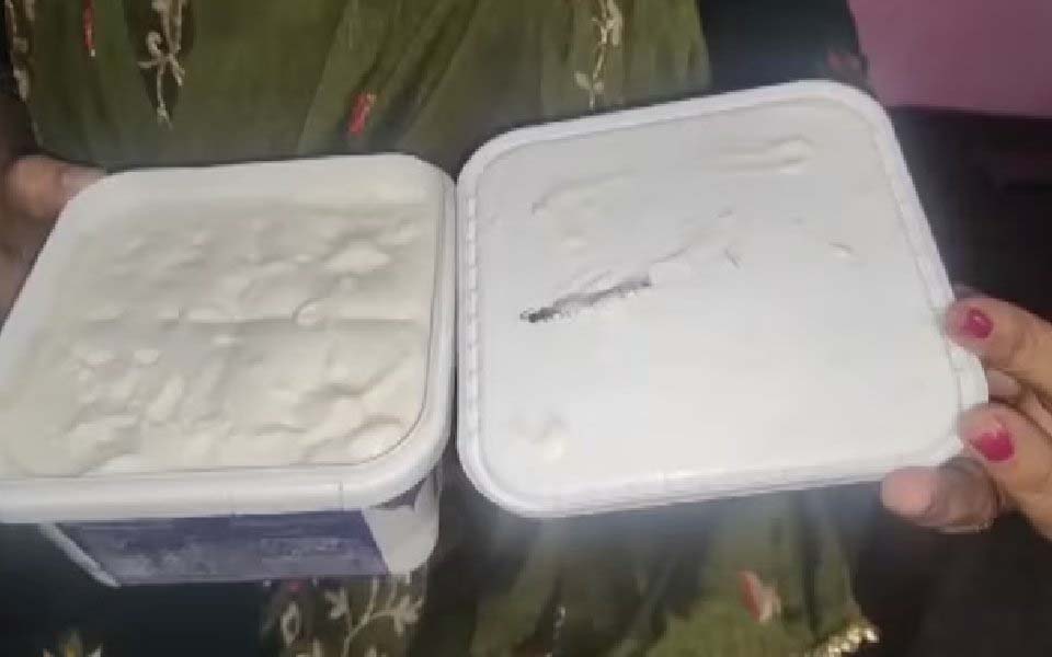 Shocking Find: Insect in Online Ice-Cream