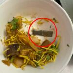 AIR INDIA, METAL BLADE, FLIGHT, PASSENGER, METAL BLADE IN MEAL, AIR INDIA PASSENGER FINDS METAL BLADE IN MEAL; AIRLINE CONFIRMS INCIDENT