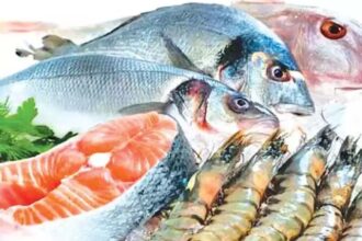 Seafood Surge: India's Record Exports Soar