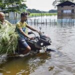 Assam Underwater: 22 Districts Struggle