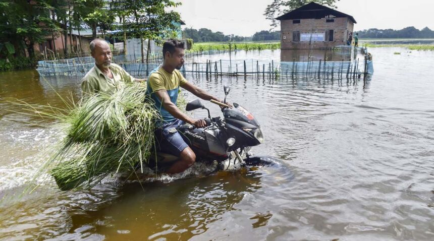 Assam Underwater: 22 Districts Struggle